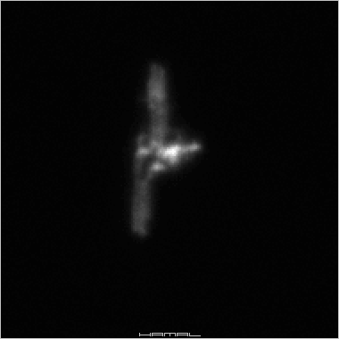 ISS - 14 VI 2014