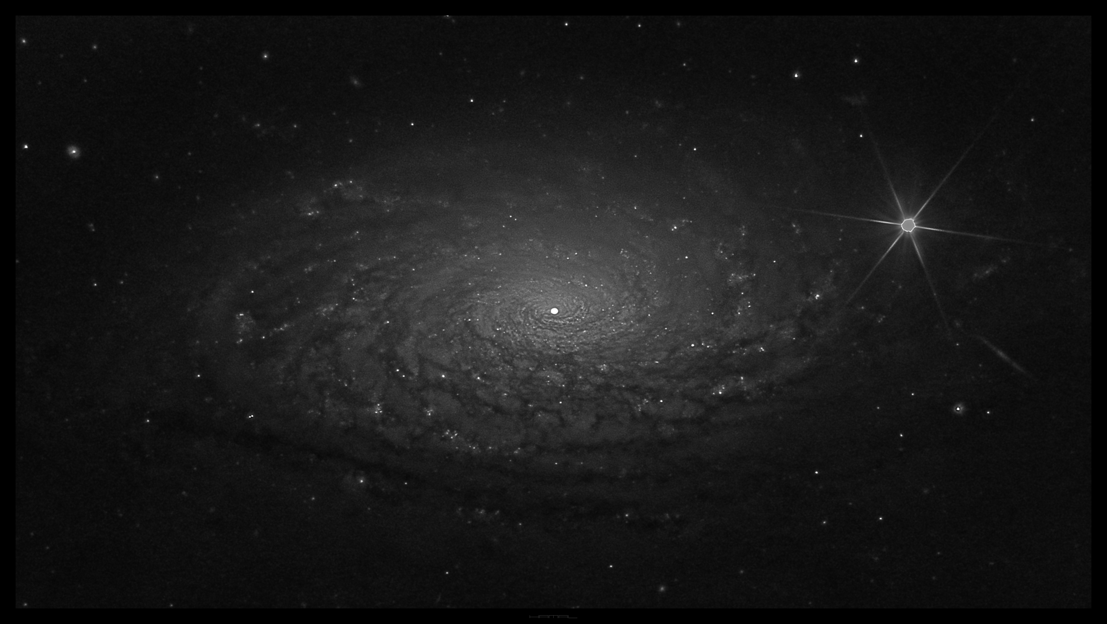 M 63