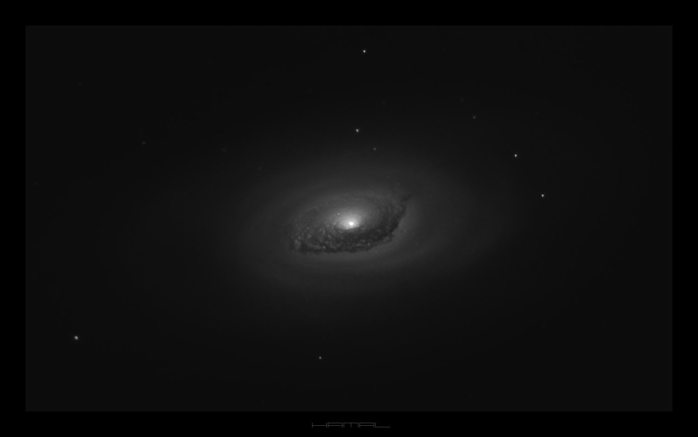 M64