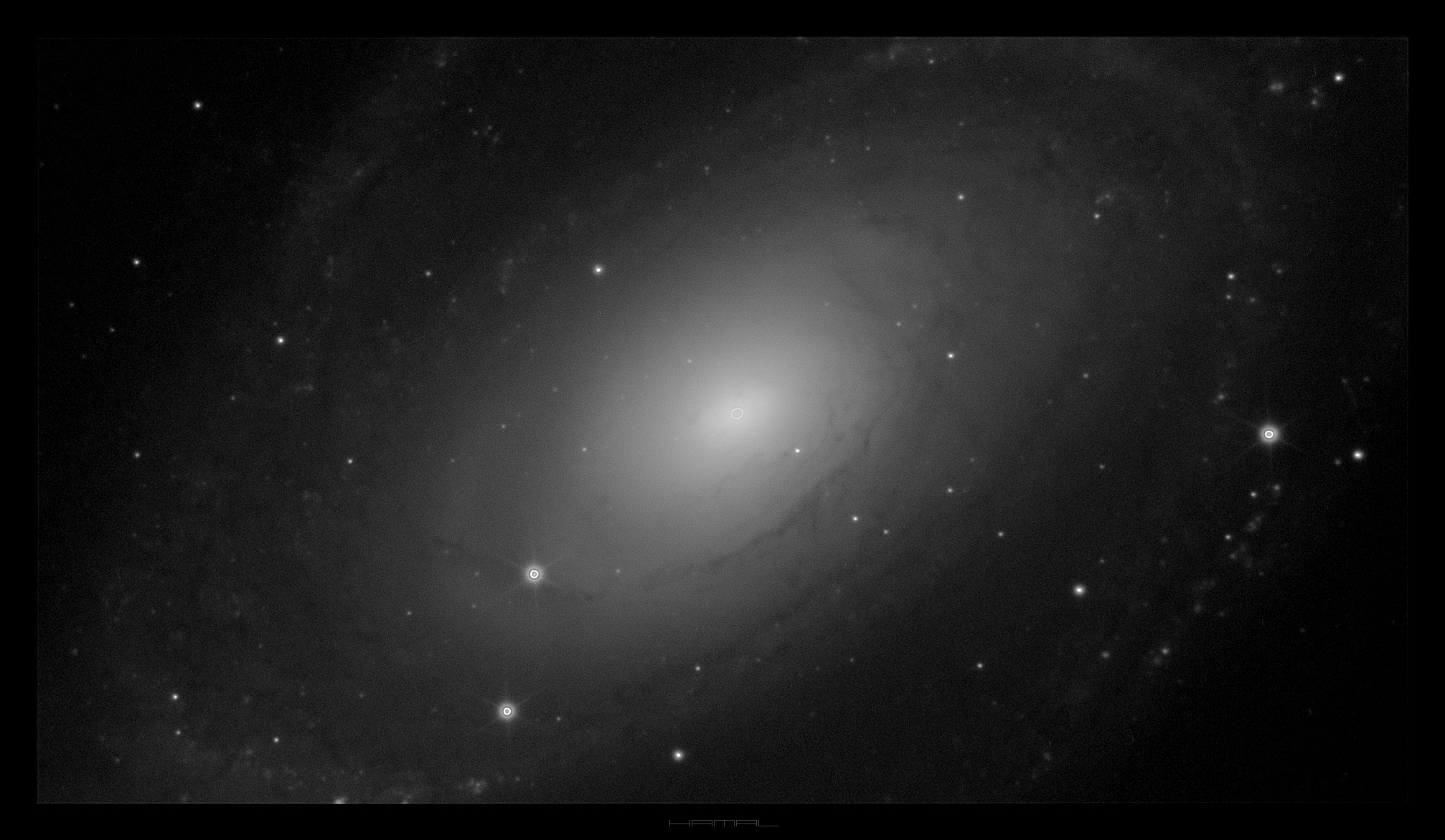 M81