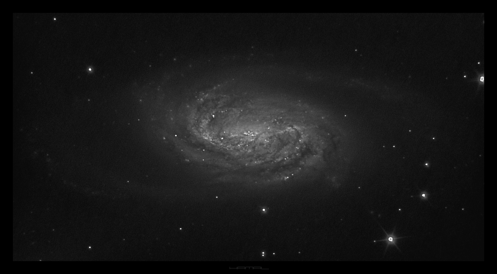 NGC 2903