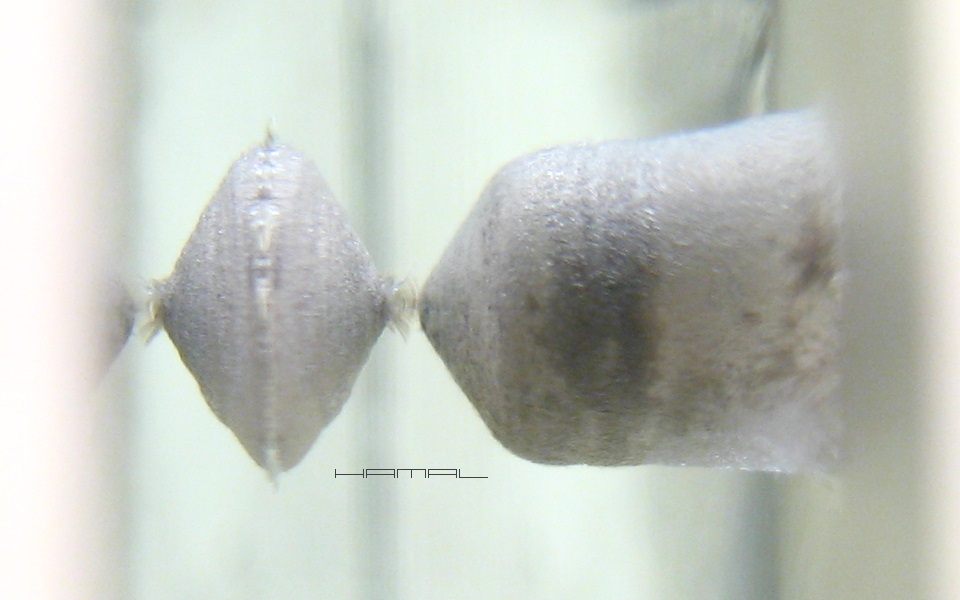 Autokolimator - homemade - HAMAL