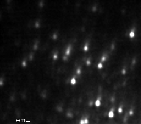 Pease 1 - M15